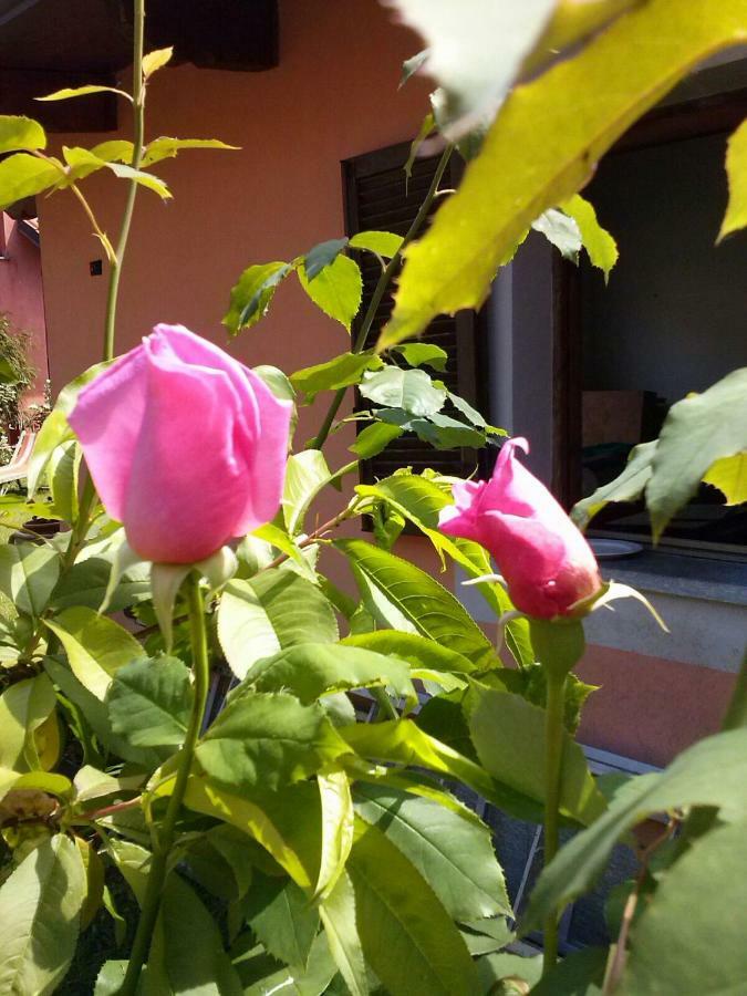 Bed and Breakfast Le Ginestre Caselle Torinese Zewnętrze zdjęcie